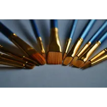 Set 6 pensule pictura