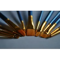 Set 6 pensule pictura