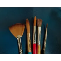 Set 6 pensule pictura
