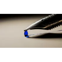 Cartuse cerneala stilou set 6