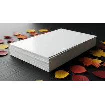 Hartie copiator A3 80g 500 coli