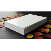 Hartie copiator A3 80g 500 coli